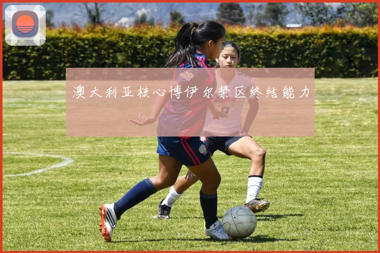 澳大利亚核心博伊尔禁区终结能力