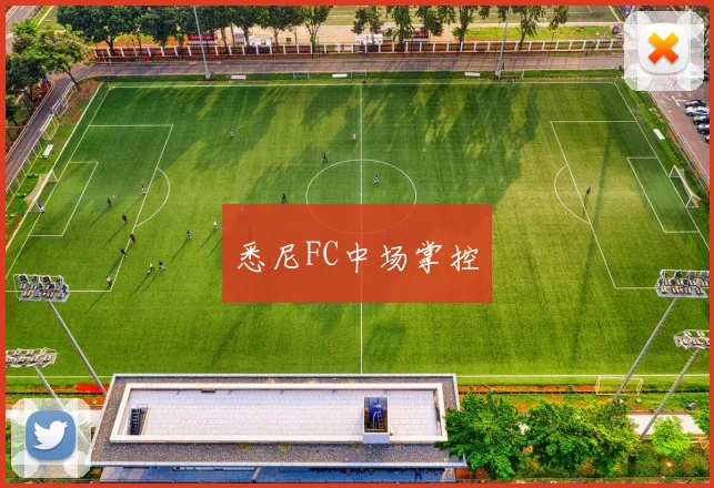 悉尼FC中场掌控