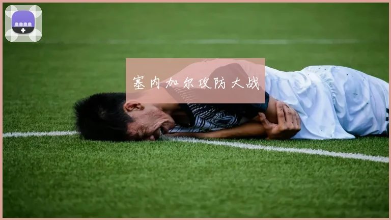 塞内加尔攻防大战
