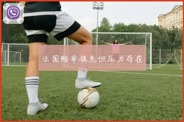 法国赔率领先但压力存在