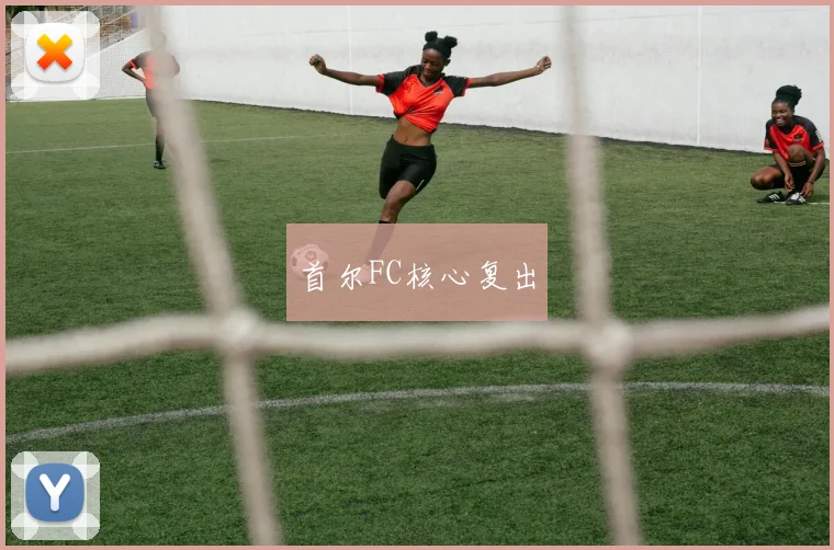 首尔FC核心复出