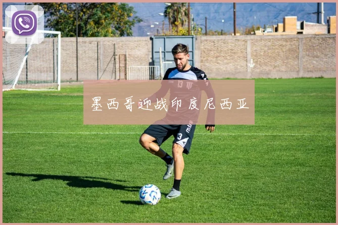 墨西哥迎战印度尼西亚