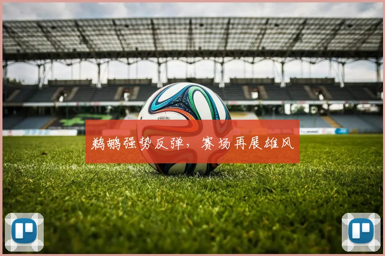 鹈鹕强势反弹，赛场再展雄风