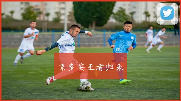 京多安王者归来