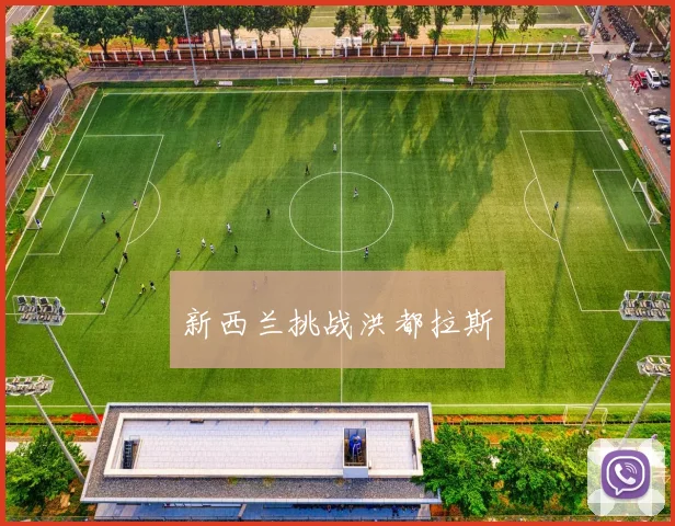 新西兰挑战洪都拉斯