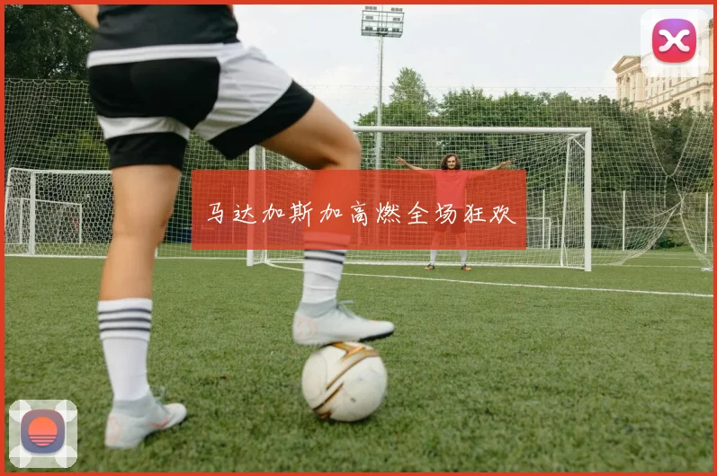 马达加斯加高燃全场狂欢