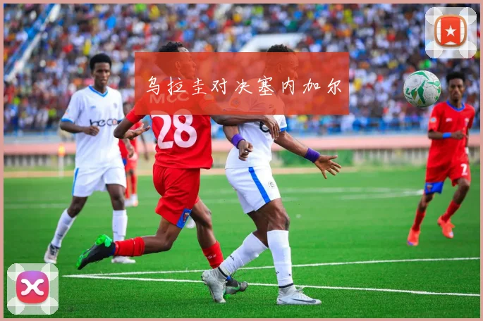 乌拉圭对决塞内加尔