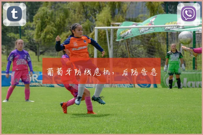 葡萄牙防线危机，后防告急
