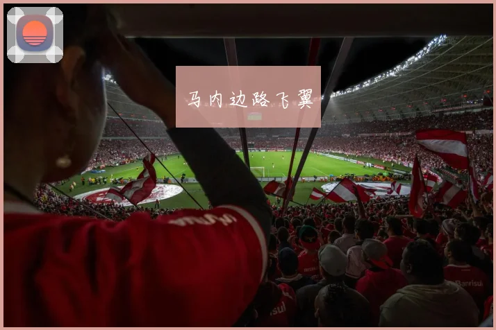 马内边路飞翼