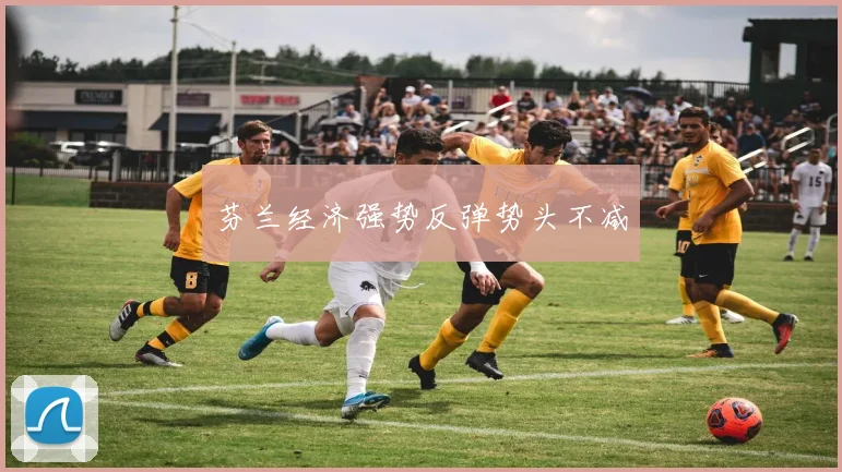 芬兰经济强势反弹势头不减