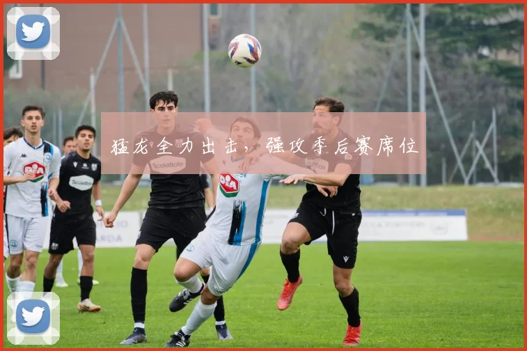 猛龙全力出击，强攻季后赛席位