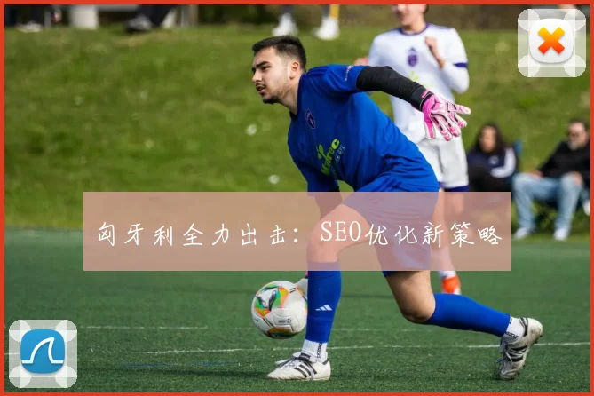 匈牙利全力出击：SEO优化新策略