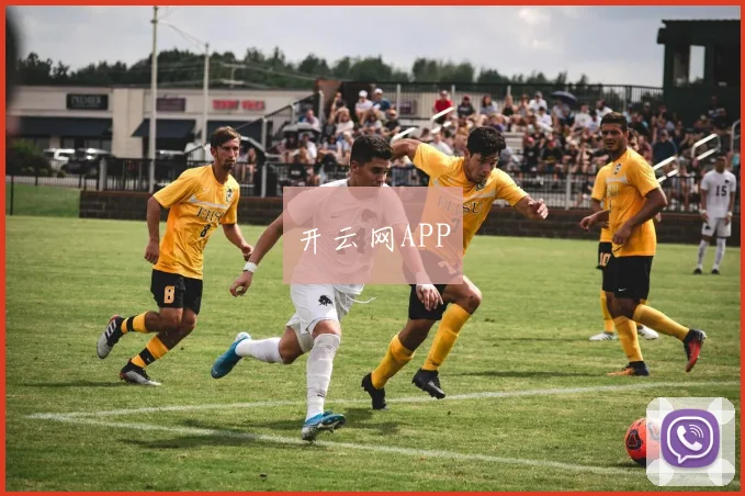 开云网APP