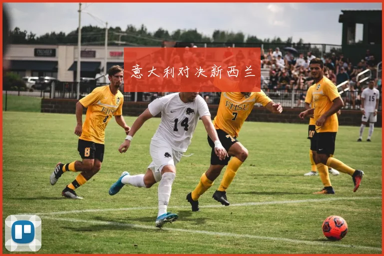 意大利对决新西兰