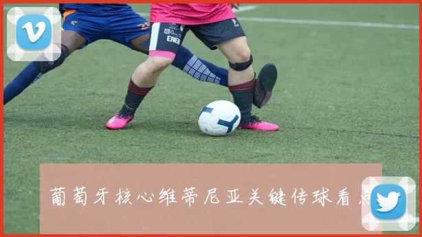 葡萄牙核心维蒂尼亚关键传球看点
