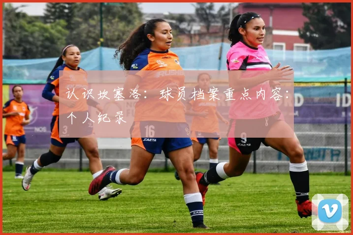 认识坎塞洛：球员档案重点内容：个人纪录