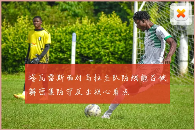 塔瓦雷斯面对乌拉圭队防线能否破解密集防守反击核心看点