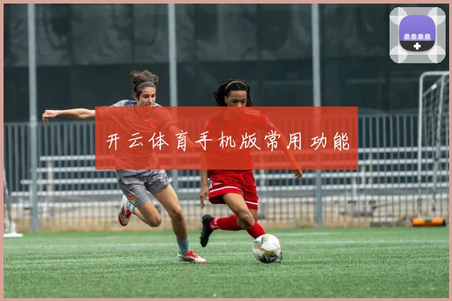 开云体育手机版常用功能